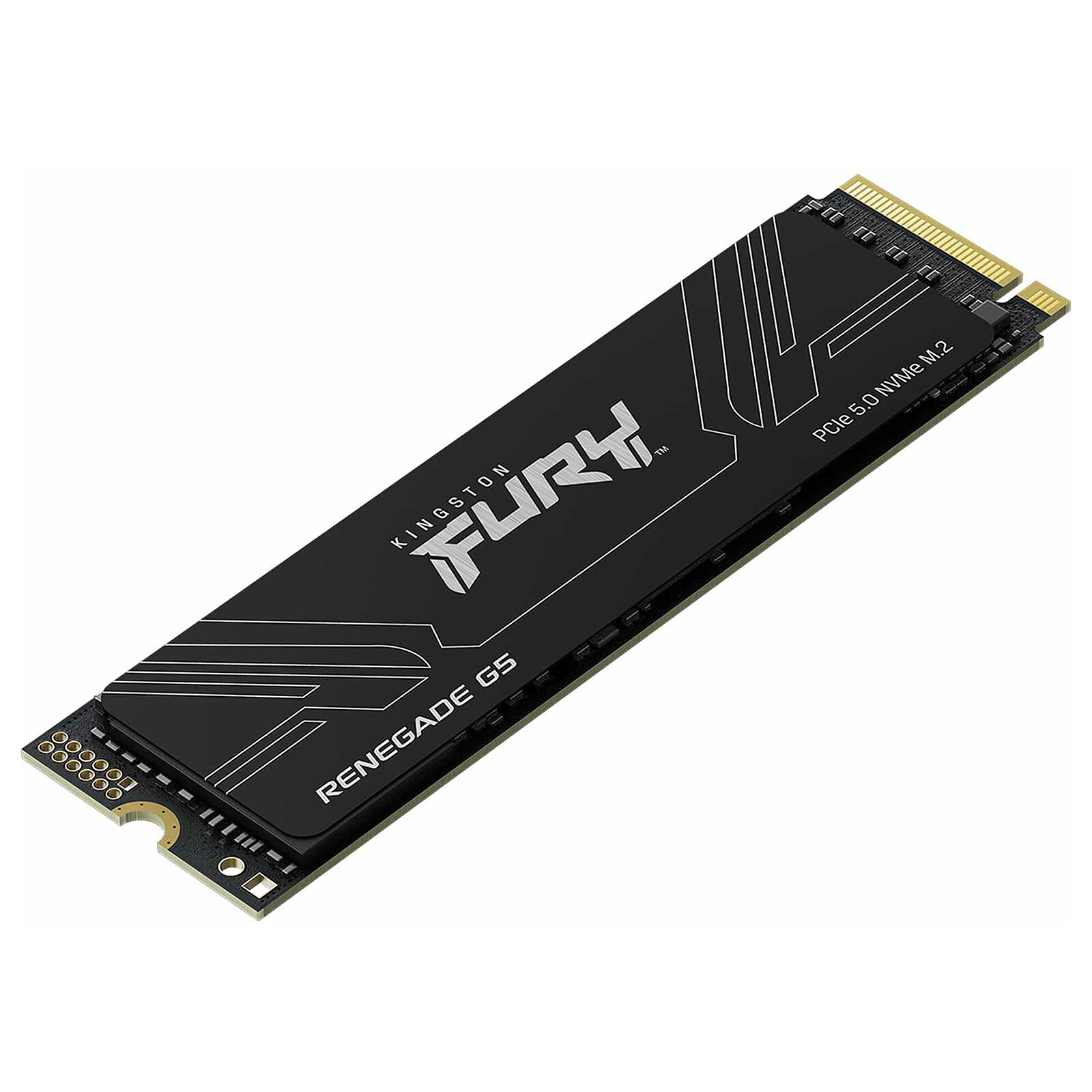 Kingston FURY Renegade G5 4 To