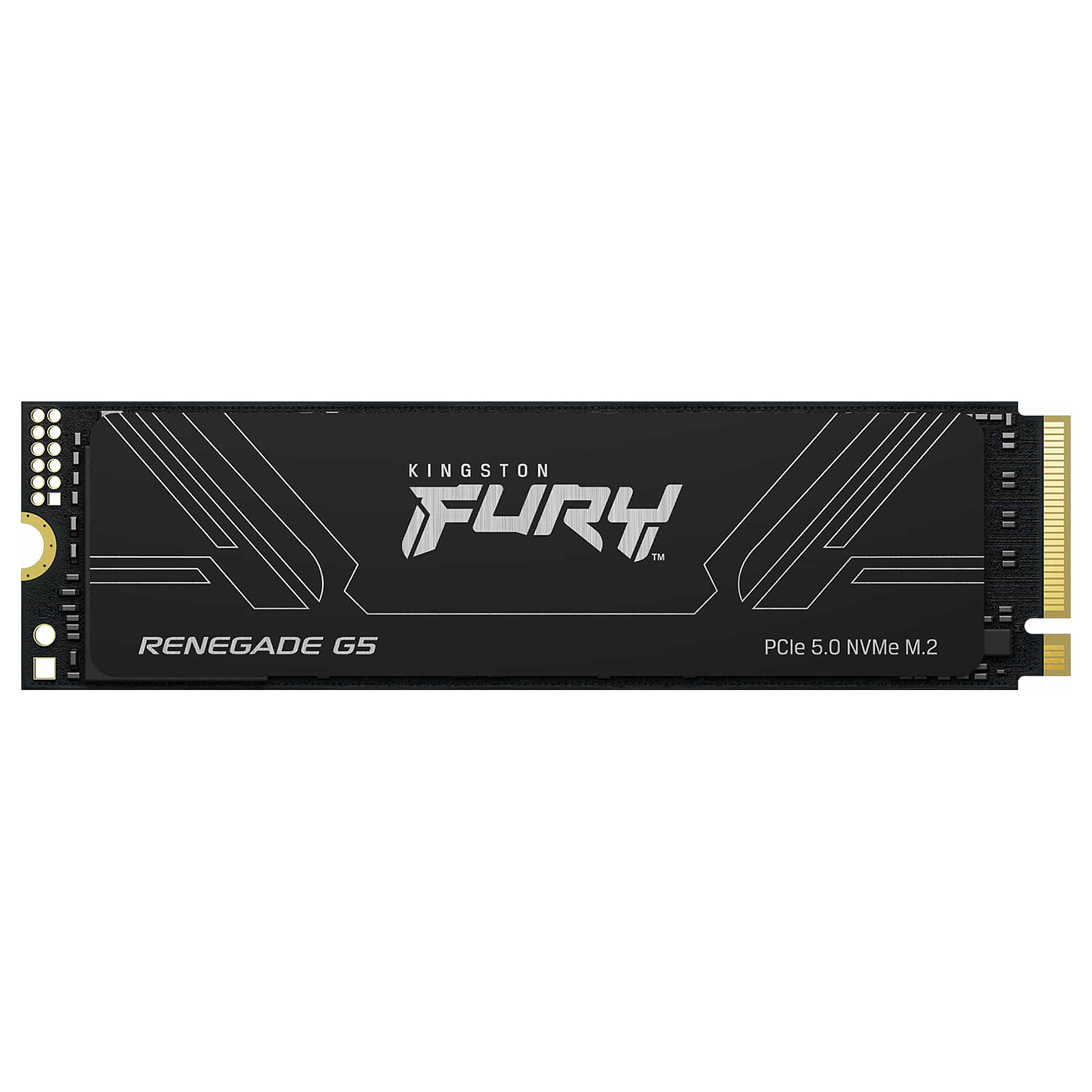 Kingston FURY Renegade G5 4 To